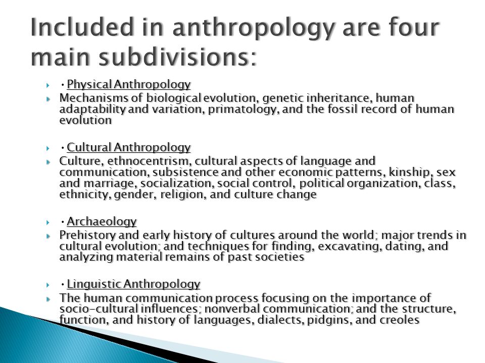 physical anthropology dating techniques physical anthropology dating techniques